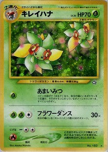 【特価】キレイハナ(右中央:☆) LV36HP70NO182-NEO1